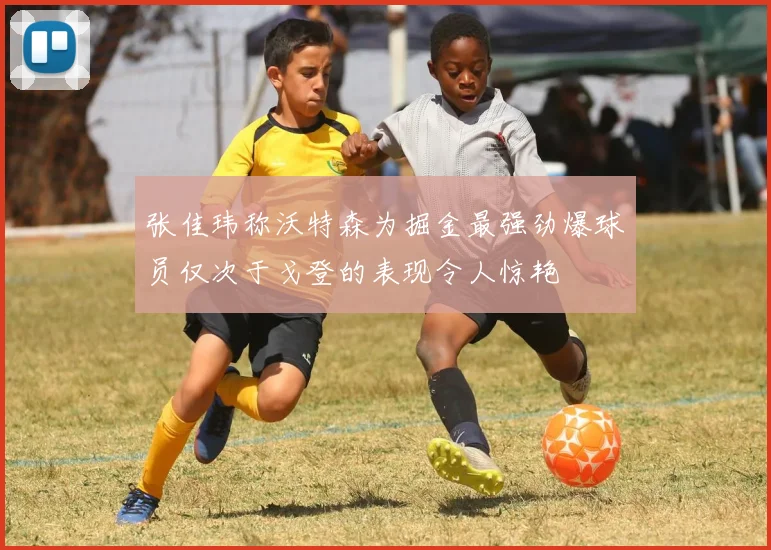 张佳玮称沃特森为掘金最强劲爆球员仅次于戈登的表现令人惊艳