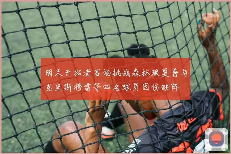 明天开拓者客场挑战森林狼夏普与克里斯穆雷等四名球员因伤缺阵